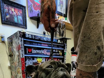 Iron Will Tattoo Studio