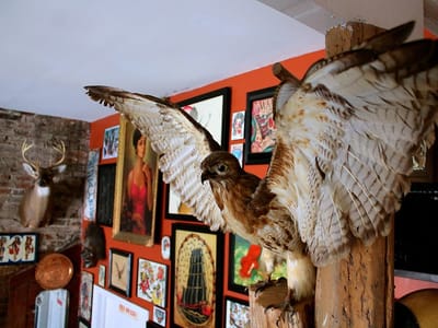 Ironclad Tattoo Gallery