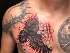 Ironheart Evolution Studios