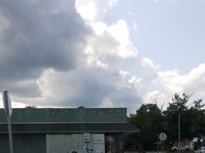 Its Just A Flesh Wound