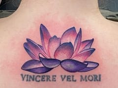 Jacksonville Piercing & Tattoo