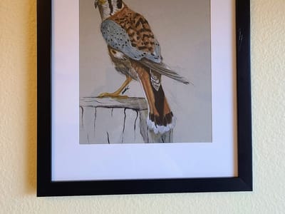 Kustom Kreature Tattoo Studio