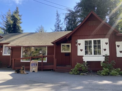 Lights Out Tattoo Santa Cruz