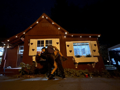 Lights Out Tattoo Santa Cruz