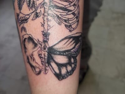 Little Dragon Tattoos Studio