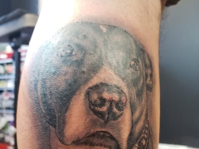 Lost Art Gallery and tattooing