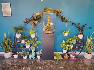 Lucid Dreams Tattoo Studio