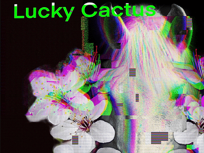 Lucky Cactus Tattoo / Chace Young google page ,no piercings done here.