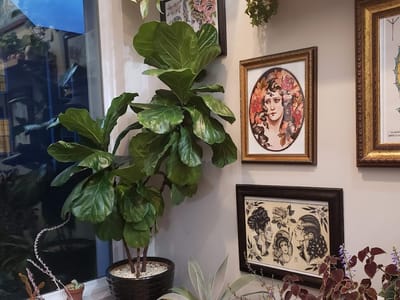 Lucky's Tattoo Studio