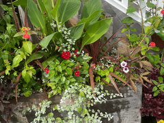 Lucky's Tattoo Studio