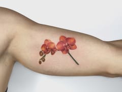 Lumia Tattoo Gallery Miami