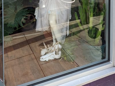 Lust And Lore Tattoo Co.