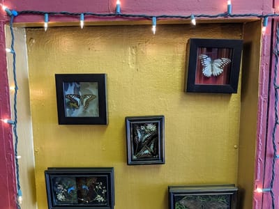 Macabre Tattoo and Oddities