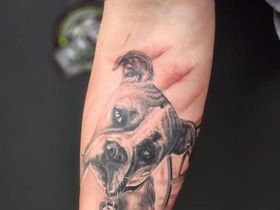 Machine in Ink Tattoo Studio