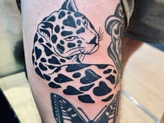 Metamorph Tattoo Studios