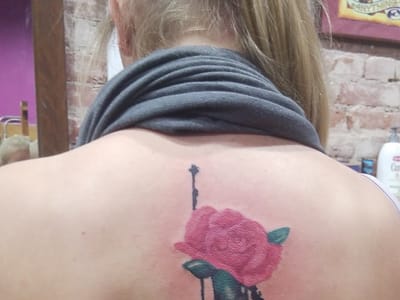 Millennium Gallery of Living Art