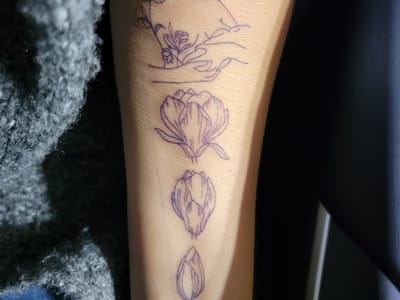 Miraculous Creations