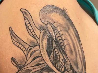 Modify Tattoo & Piercing