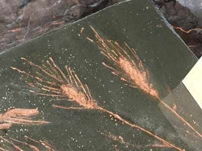 Moscow Tattoo Company