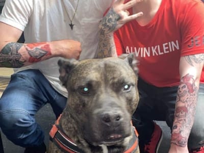 Mountainside Tattoo & Piercing NH