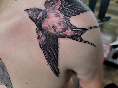 Mr Tattoo's & Piercing