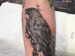 Mr. Williams Tattoo Co.