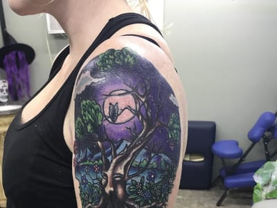 Nemesis in the Hollar