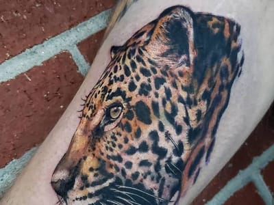 Neon Lady Tattoo Studio and Art Gallery