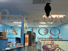 Nevermore Tattoo & Art Studio