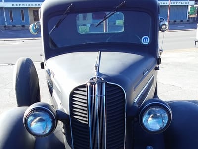 Noble sparrow tattoo