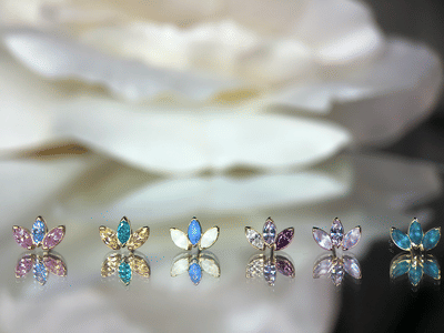 Nolana Tattoo & Piercing