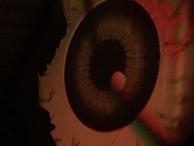 Obscura Tattoo shop and Oddity Collective