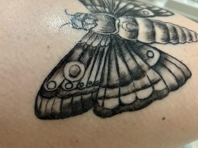 Obscura Tattoo shop and Oddity Collective