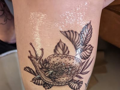 Oddity Tattoo Studio & Gallery