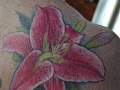 Off the Map Tattoo - Northwest