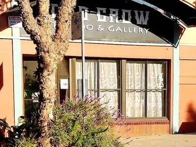 Old Crow Tattoo and Art Gallery