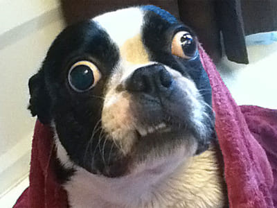 Old Salt Tattoo Studio