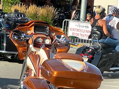 Old School Tattoo Co