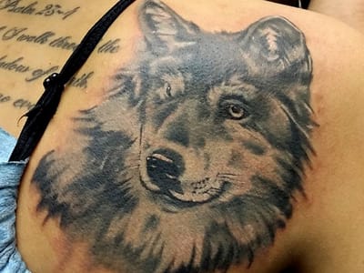 One Eyed Blue Monkey