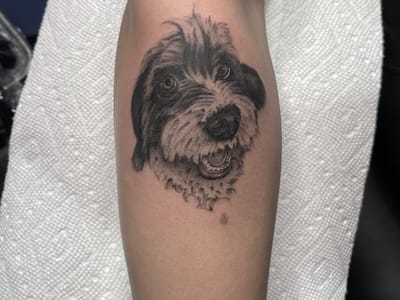 One Love Tattoos (Formerly Aloha)