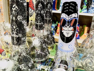 Orionz Outer Limits Inc