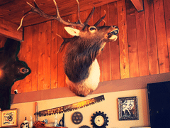 Pacific northwest tattoo collective