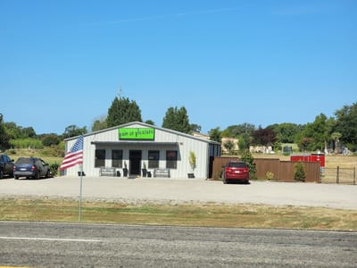 Pain Or Pleasure Tattoo Studio