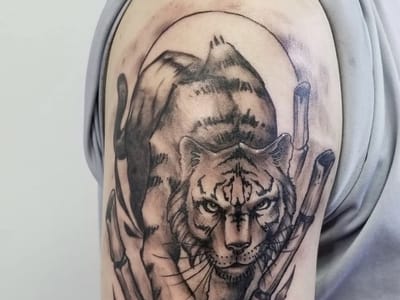 Pain & Wonder Tattoo and Piercing Studio