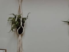 Peaches Tattoo Studio