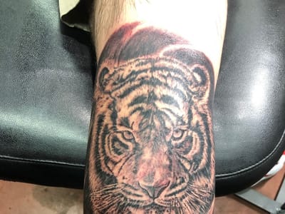 Physical Graffiti Tattoo