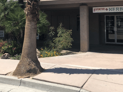 Picazo Tattoo Studio