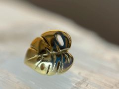 Piercings by Paige Amber at Big Guns Tattoo