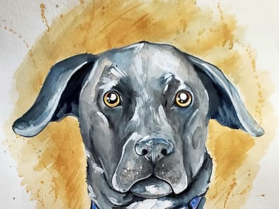 Pinhooks Tattoos and Curious Goods