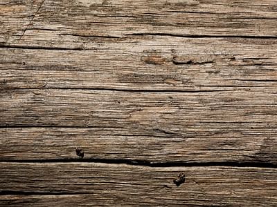 Pioneer Tattoo Company